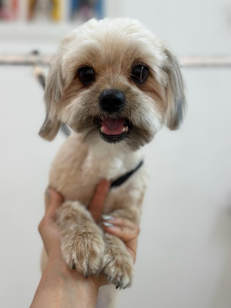 افزایش طول عمر