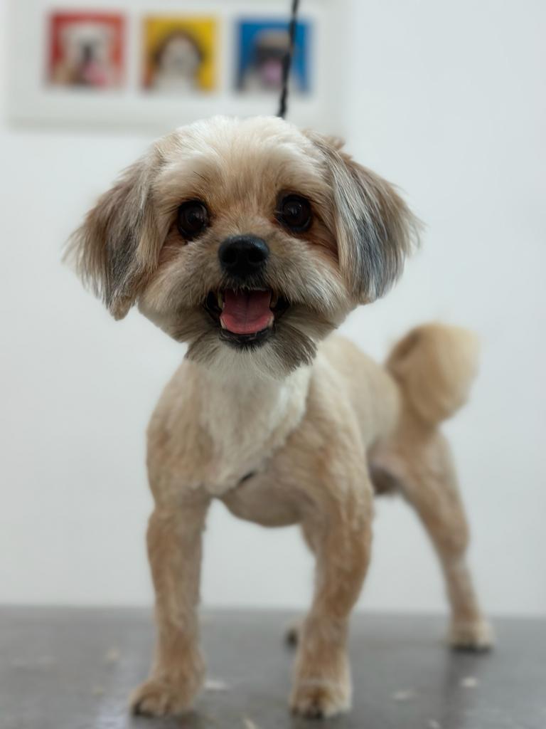 مراقبت های بهداشتی